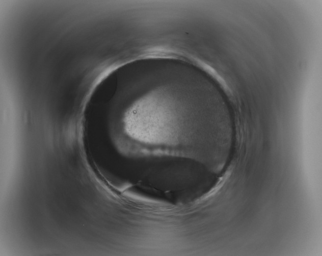 X0000116121463200911231205