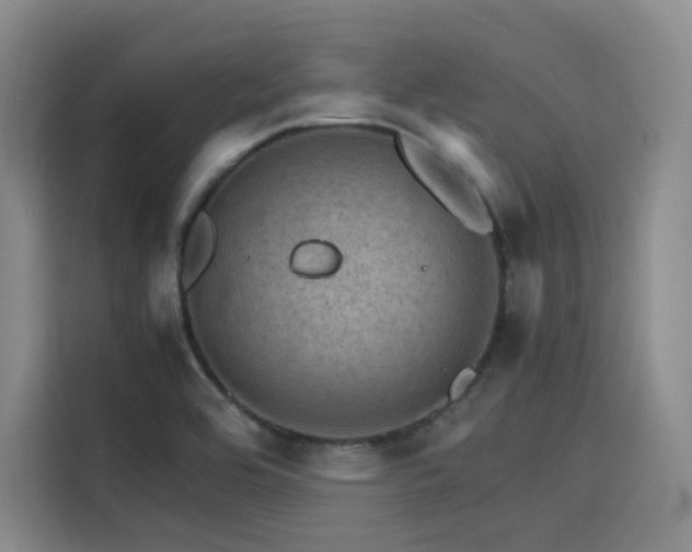 X0000116121464200911231205