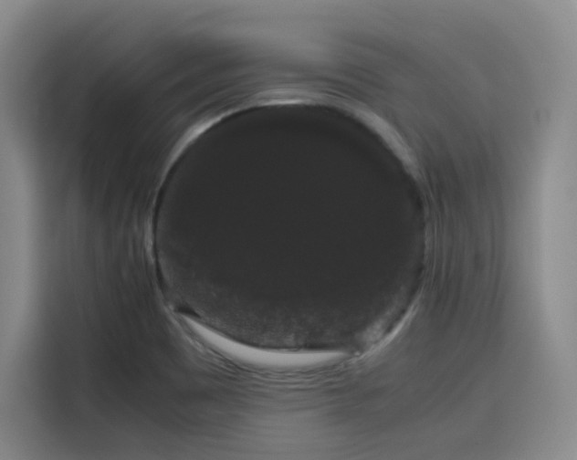 X0000116121465200911231205