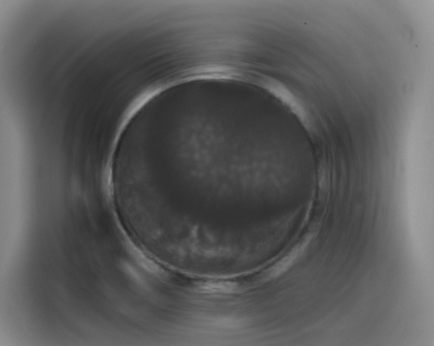 X0000116121466200911231205