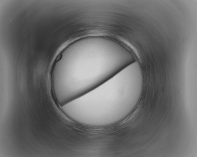 X0000116121467200911231205