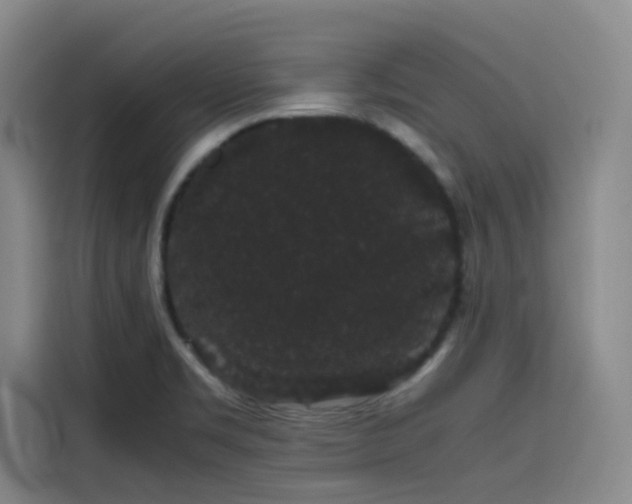 X0000116121469200911231205