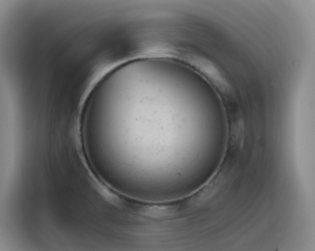 X0000116121470200911231205