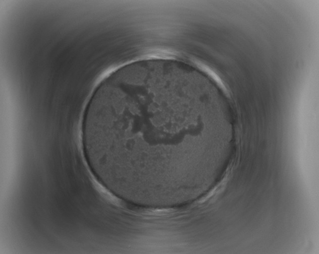 X0000116121471200911231205