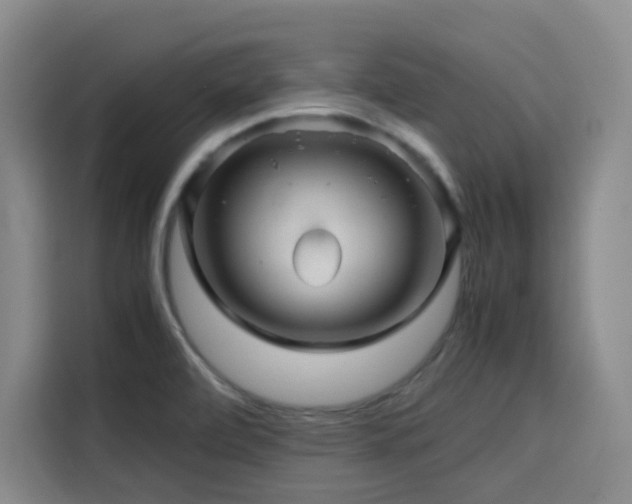 X0000116121472200911231205