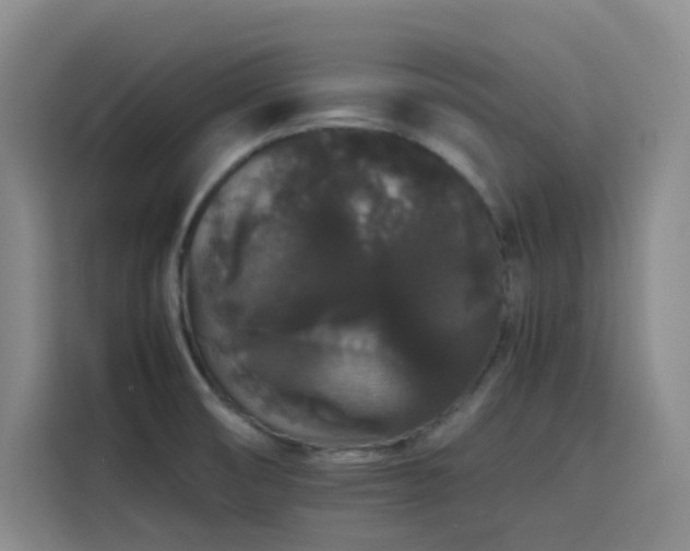 X0000116121474200911231205