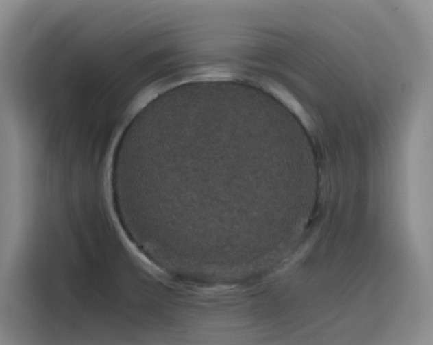 X0000116121475200911231205