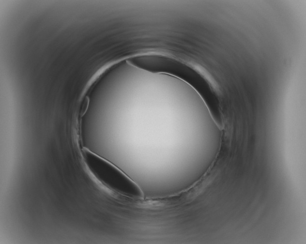 X0000116121476200911231205