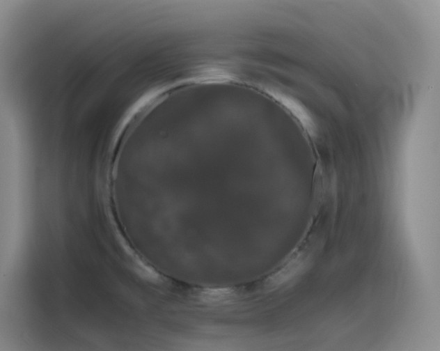 X0000116121477200911231205