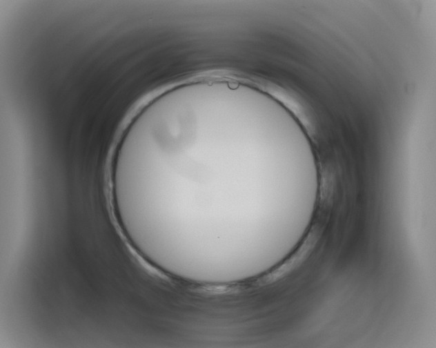 X0000116121478200911231205