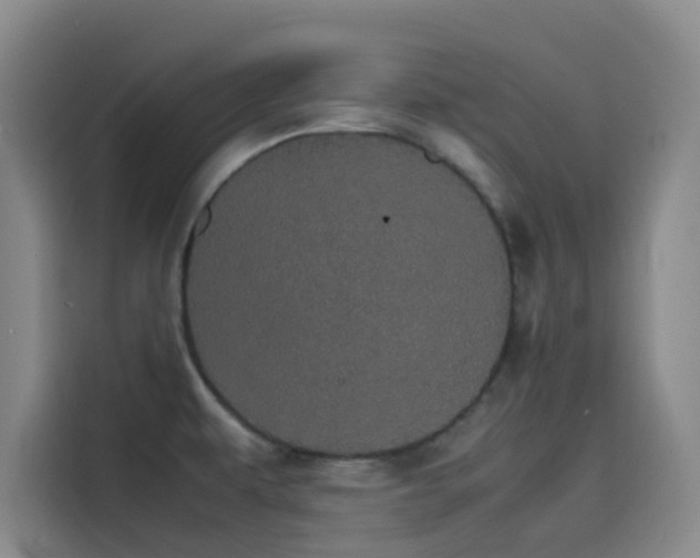 X0000116121479200911231205