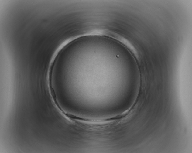 X0000116121480200911231205