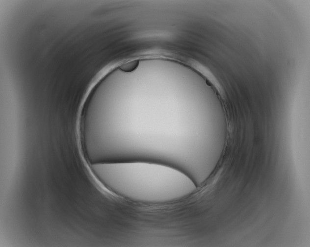 X0000116121482200911231205