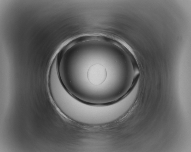 X0000116121485200911231205