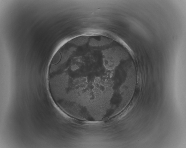 X0000116121487200911231205