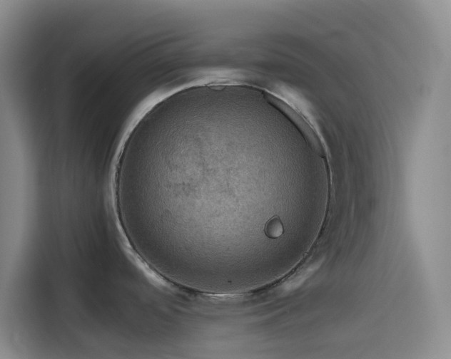 X0000116121488200911231205