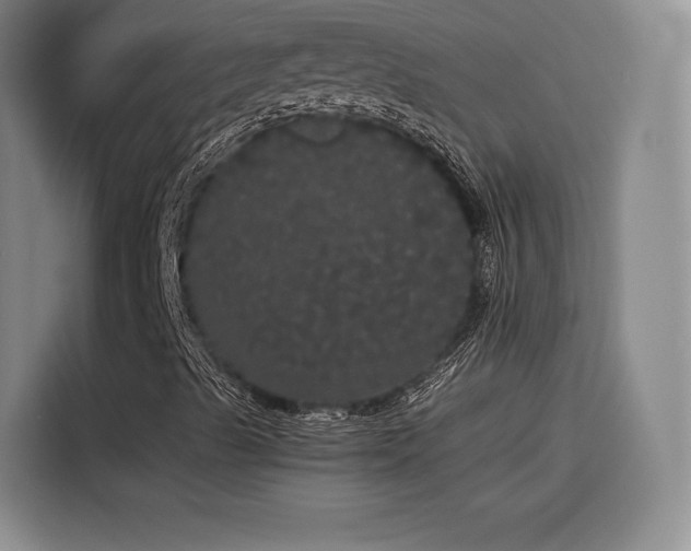 X0000116121489200911231204