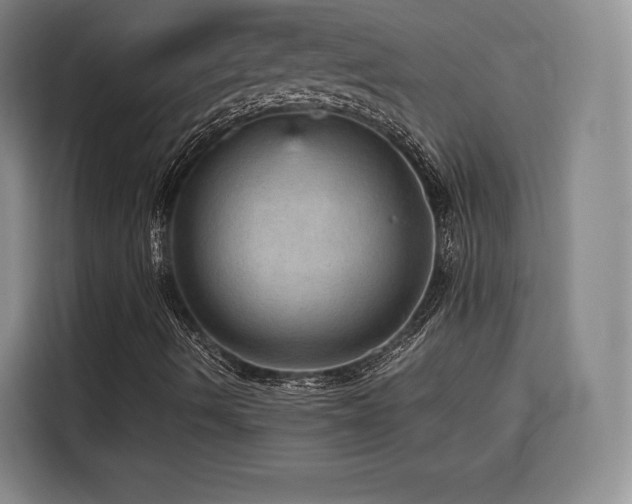 X0000116121490200911231204