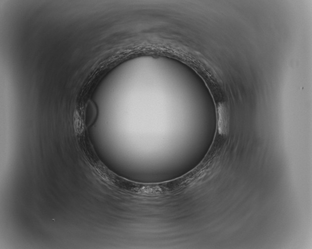 X0000116121491200911231204