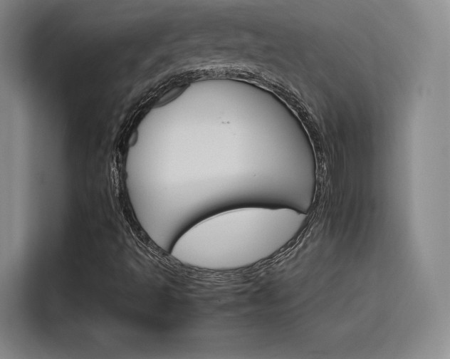 X0000116121493200911231204