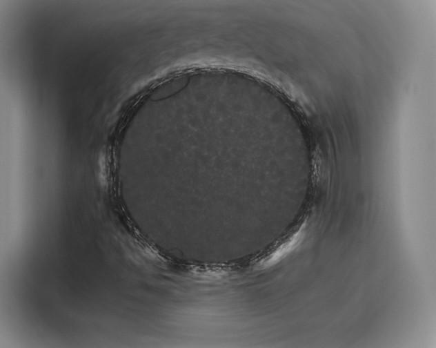 X0000116121494200911231204