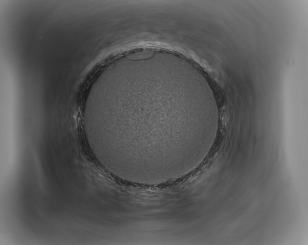 X0000116121495200911231204