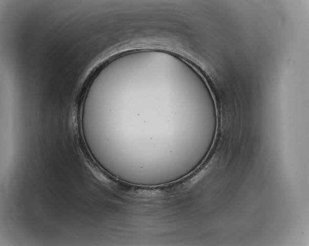 X0000116121498200911231204