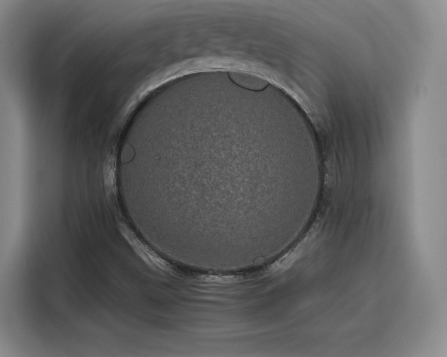 X0000116121499200911231204