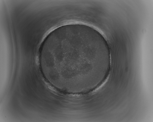 X0000116121501200911231204