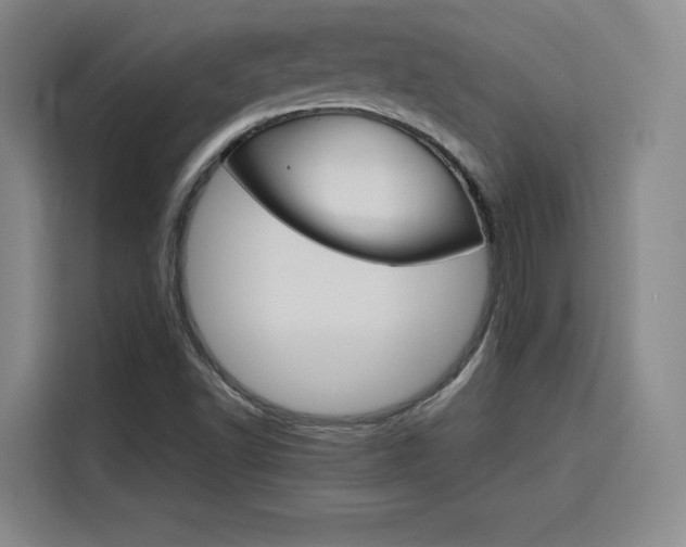 X0000116121502200911231204