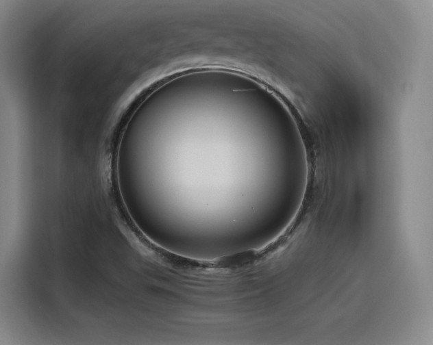 X0000116121503200911231204