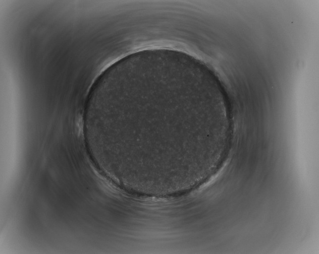 X0000116121505200911231204