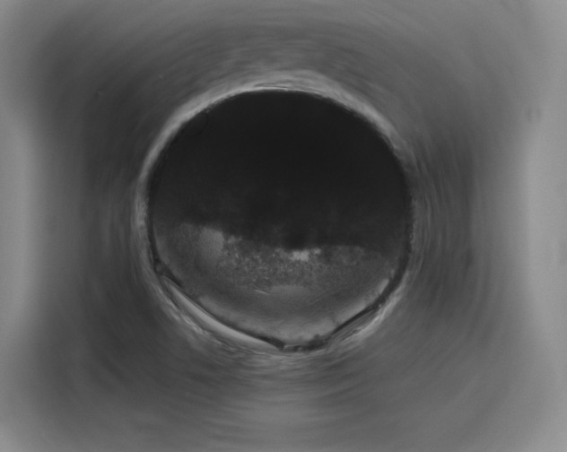 X0000116121506200911231204