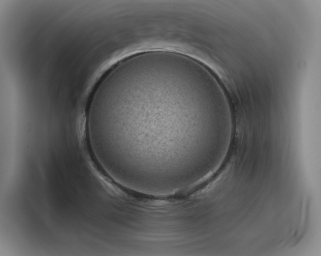 X0000116121507200911231204