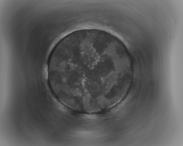 X0000116121509200911231204