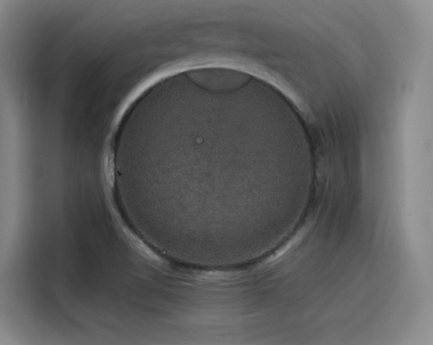 X0000116121510200911231204