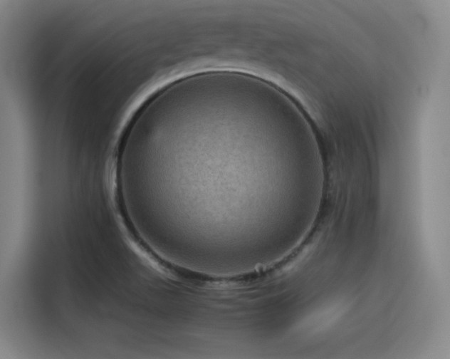 X0000116121511200911231204