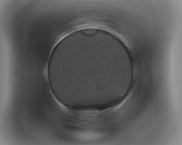 X0000116121513200911231204