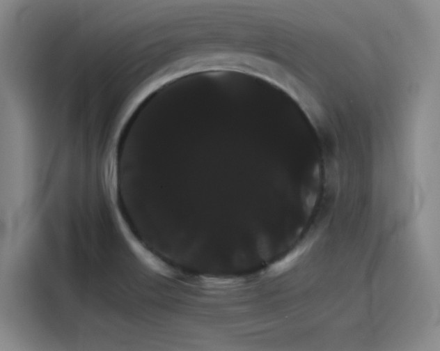 X0000116121515200911231204