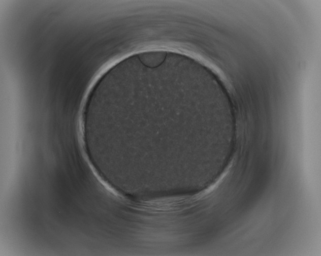 X0000116121517200911231204