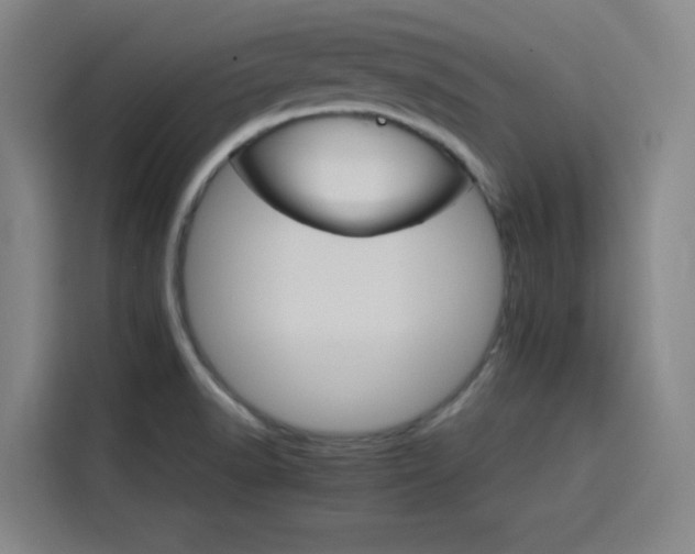 X0000116121518200911231205