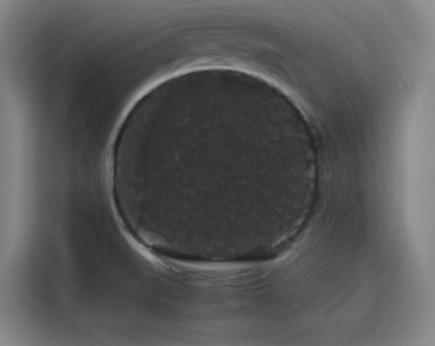 X0000116121519200911231205