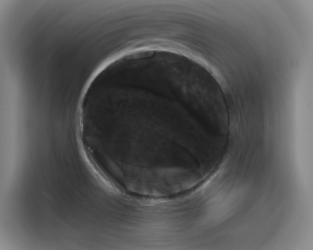 X0000116121522200911231205