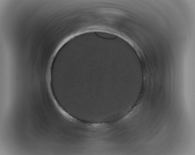 X0000116121523200911231205