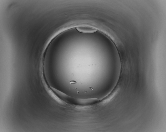 X0000116121526200911231205