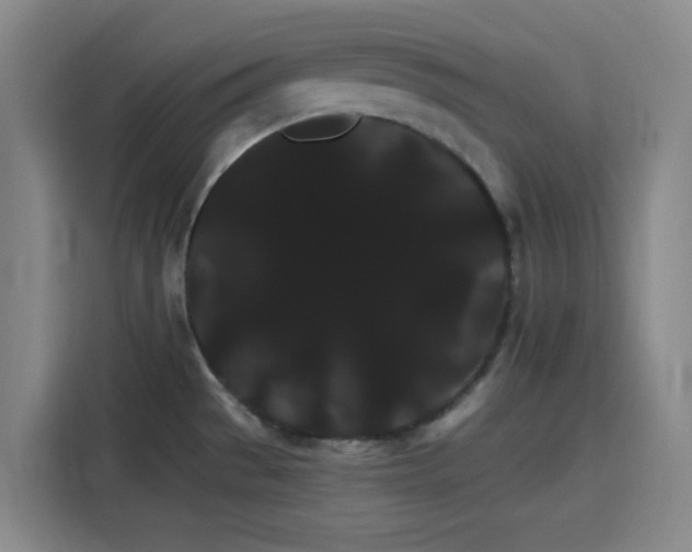 X0000116121529200911231205