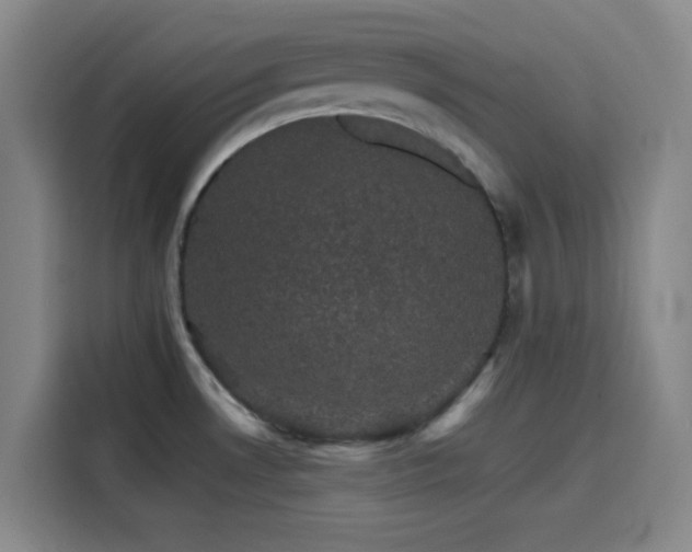 X0000116121530200911231205