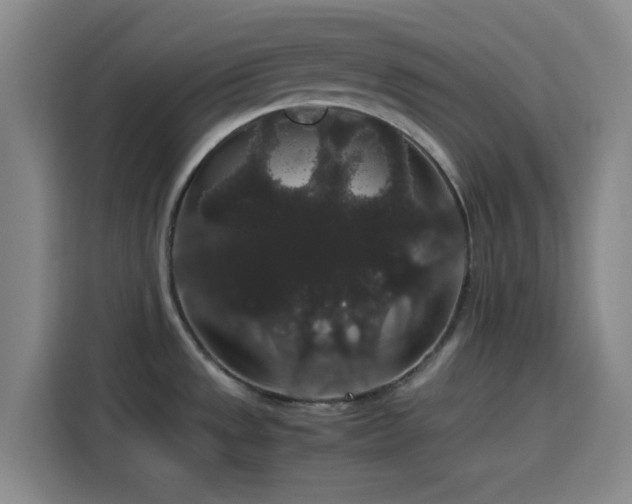 X0000116121533200911231205