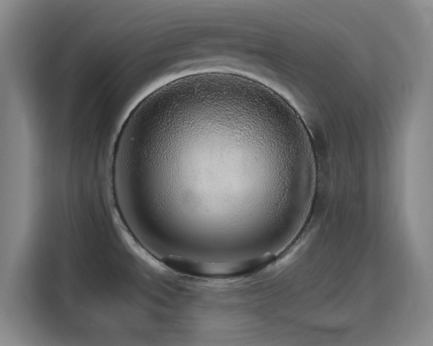 X0000116121534200911231205