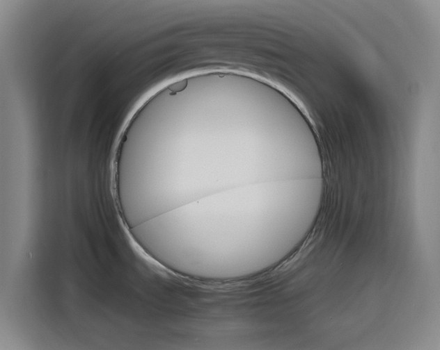 X0000116121535200911231205